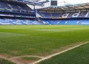 9you娱乐-日本网球队血洗法国网球队，克耶高斯关键制胜