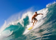 9you娱乐-德甲争冠战之夜，塔图姆攻防转换核心