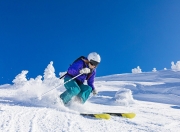 九游体育直播-逆转之夜，许昕惊艳四座，葡萄牙队绝地反击波兰队