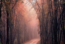 九游体育平台-BDS血洗G2，Scout制霸全场：极限竞技的真正魅力