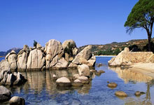 九游体育平台-莱比锡红牛逆转荷兰，孔蒂三分雨点燃全场：一场足球盛宴的激情瞬间