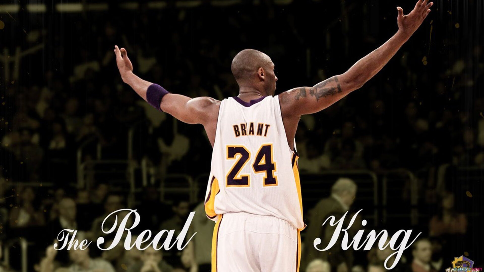 赛道与球场，F1新赛季揭幕战之夜，文班亚马刷新纪录